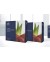 GANO TRANSPARENT SOAP