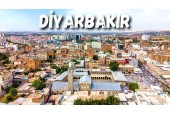 GANO EXCEL DİYARBAKIR